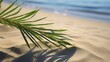 Summer holiday background with coconut leaf shadow on a pristine sandy beach for vacation concept