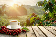 cup of coffee on table with red coffee beans and plantation with sunshine as background