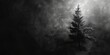 Abstract artistic rendition of a pine tree silhouette in black and white, merging the aesthetics of Documentary.