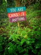 A wooden colorful sign with a motivating note 'you are capable of anything' in a field
