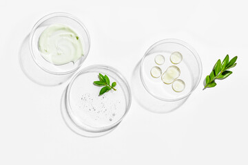 Poster - Green plant leaf and beauty products in petri dish