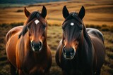 Fototapeta Konie - AI generated illustration of two horses stand in a sun-soaked open field, side by side
