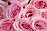 Fototapeta Tulipany - Beautiful pink roses bouquet, amazing roses, birthday, wedding, Valentine's Day, Mother's Day