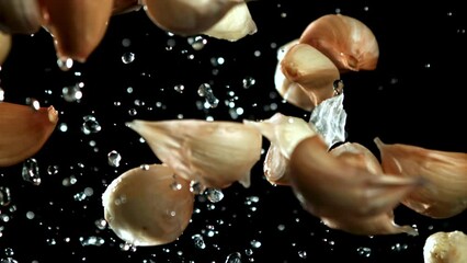 Wall Mural - Super slow motion garlic flies up with drops of water. High quality FullHD footage