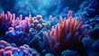 corals in a dark, colorful ocean with glowing blue water and some pink coral
