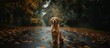 AI generated illustration of a brown labrador sitting on a road, among autumn leaves