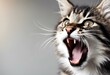 AI generated illustration of a tabby cat with an open mouth