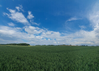 Scenic view of a green open field under a cloudy blue sky on a sunny day