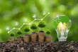 Green energy, eco energy concept. Trees growing on coin stacks symbolize green investments. A graph with renewable energy icons shows growth, an Earth-filled light bulb highlights the global impact.