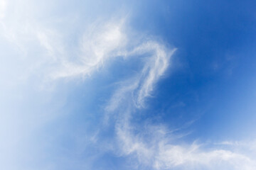 Wall Mural - Blue sky with white windy clouds on a daytime