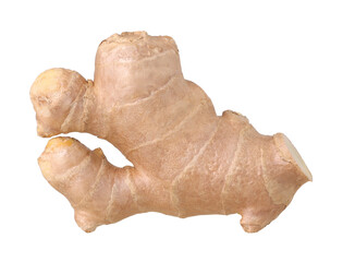 Poster - Close-up, Fresh ginger rhizome isolated, transparent PNG, PNG format, cut out