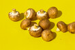 mushroom Egerlings on yellow background, close-up
