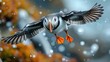 An Atlantic puffin in flight.; Machias Seal Island, Maine., 8k Genrative AI
