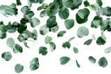 Fototapeta  - Green leaves flying and falling isolated on background, tropical leaf for border element, fresh natural foliage, organic herbal in form of wave and swirl.