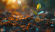 Young plant growing from a golden coin in soil at sunrise, symbolizing investment growth, financial success, or eco-friendly business.