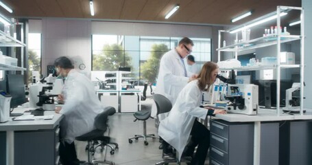 Wall Mural - Team of Diverse Male and Female Medical Research Scientists Work on a New Generation Medical Products in a Modern Laboratory. Scientists Working on Computers and Walking in Office. Timelapse Footage