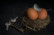 real estate, keys, nest and egg, symbol of habitation