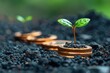 Coins and young sprout - your growing income. Witness the power of investment, as a young sprout emerges from a foundation of coins.