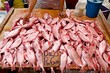 Selling fish at the Filipino market in Kota Kinabalu. Sabah. Borneo island. Malaysia.