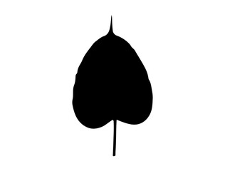 Bodhi leaf silhouette vector art