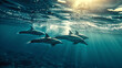 © Chananphat - Dolphins swimming in the ocean. sea life animals