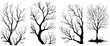 Four black and white images of trees with no leaves. The trees are all different sizes and are arranged in a row. The mood of the images is somber and melancholic, as the trees are bare