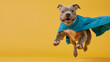 rescue dog, super dog in a blue hero cape flies on a yellow background