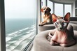 A cat and dog are laying on a couch in front of a window overlooking the ocean