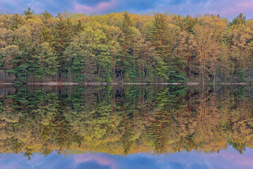 Wall Mural - Spring landscape of Hall Lake at dawn with mirrored reflections in calm water, Yankee Springs State Park, Michigan, USA