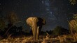 In the stillness of the night, an elephant stands serene under the celestial glow of starlight, surrounded by the soft whispers of leaves low noise