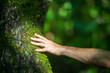© shaploff - A man's hand touch the tree trunk close-up. Bark wood. Caring for the environment. The ecology concept of saving the world and love nature by human