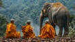 An elephant and  three novices