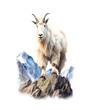 White mountain goat standing on a rock isolated on white background, watercolor illustration.