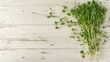 Pile of microgreen on wooden table flat lay top view, healthy food and vegan diet concept, plant on a light background, banner photo with copy space, AI generated image