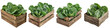 Wooden Box Full Of Collard Greens Hyperrealistic Highly Detailed Isolated On Transparent Background Png