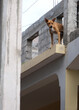 A dog is guarding the house from te roof