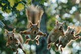 Fototapeta Miasta - group of squirrels performing a synchronized acorn ballet in the treetops, leaping and twirling with precision