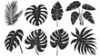 Tropical leaves  set black on white background, flat illustration style, Generative AI