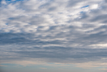 Wall Mural - pattern blue day sky with white clouds