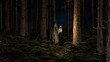 Cloaked mysterious figure emerges amongst the trees, illuminated by a lantern under a night sky. 3d render