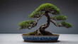 A bonsai juniper tree, with its twisted branches and miniature size, displayed in a shallow ceramic dish.