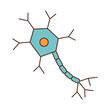 parkinson neuron human