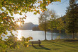 golden sunset at lake shore Walchensee, sun shines through branches. recreational area with benches