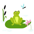 WebCute happy frog and dragonfly with lilies and reeds on the pond. Vector children  illustration.
