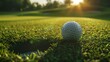 a realistic golf ball resting, on green grass, direct next to golf hole