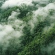Rainforests coughing up clouds, their green lungs shrinking in the grip of deforestation and heat