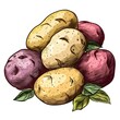 Potatoes on white background, color graphical illustration generated with AI.Vegetables