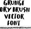 Hand Drawn Dry Brush Font. Modern Brush Lettering. Vector
