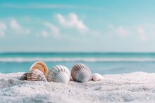 Sea Shells Rest On Sandy Beach By Ocean, Under Azure Sky And Gentle Wind Wave, World Ocean Day