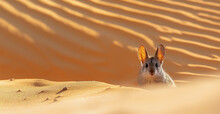 Banner With A Kangaroo Mouse Among The Endless Expanses Of Desert Sand Dunes, The Tiny Shape Blends Harmoniously With The Desert Landscape, The Diversity Of Nature